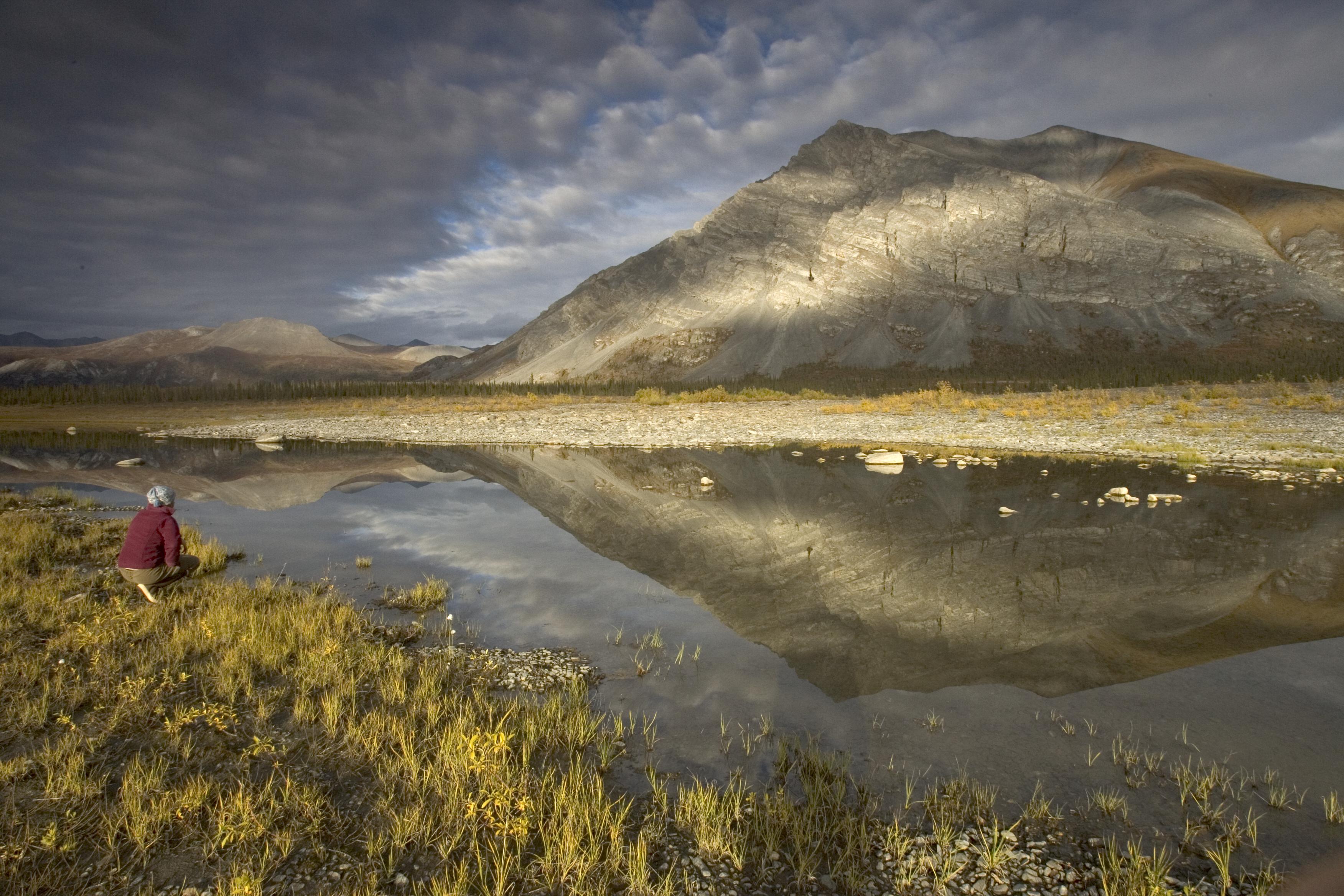 The Arctic National Wildlife Refuge in Alaska is among the scores of places scientists have been able to understand better because of the NatureServe Climate Change Vulnerability Index. | Photo by Hillebrand/USFWS