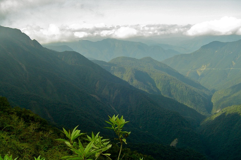 The Bolivian Yungas is a breathtakingly unique ecoregion within the 30 million acres NatureServe analyzed as part of the groundwork for the Critical Ecosystem Partnership Fund’s five-year investment strategy in the tropical Andes. | Photo by Bruce Young, NatureServe