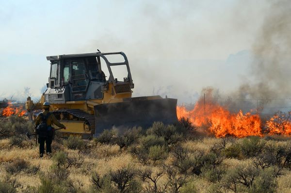 A bulldozer works to stop the further destruction of vital sagebrush in western Idaho. Destructive fires are primarily a result of the invasion of annual grasses like cheatgrass and medusahead rye. Photo: Dan Hottle, USFWS.