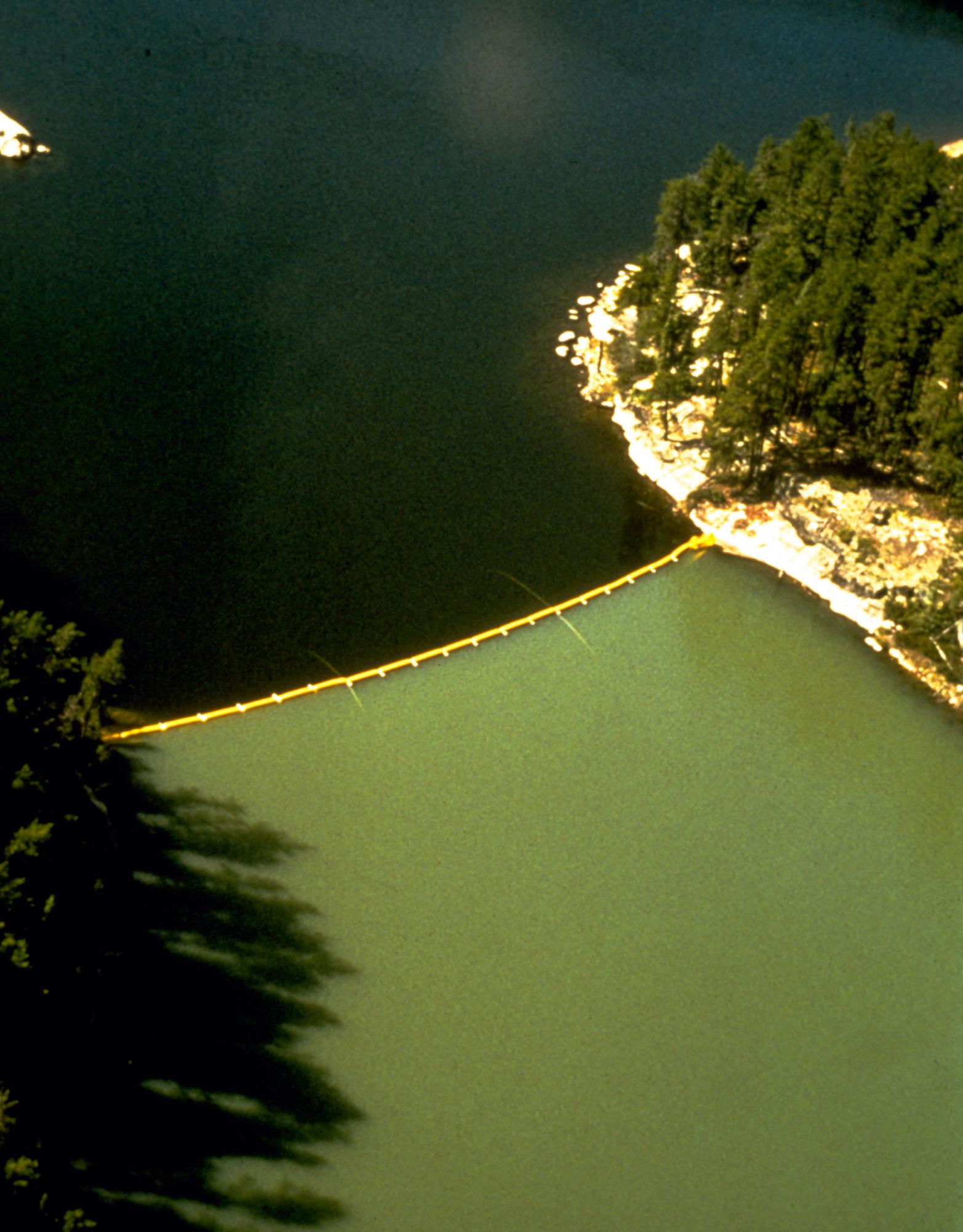 In perhaps the ELA's most famous experiment, Schindler and his colleagues deliberately contaminated Lake 226 in order to prove that phosphorus was the driving force behind uncontrolled algae blooms (eutrophication) that were devastating lakes all across North America, especially Lake Erie. The area above the boom was fertilized with carbon and nitrogen, while the area below was fertilized with carbon, nitrogen, and phosphorus. This photo has been called "the single most powerful image in the history of limnology" and led to the banning of phosphorus from household detergents.