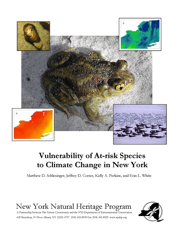 Report image: Vulnerability of At-risk Species to Climate Change in New York