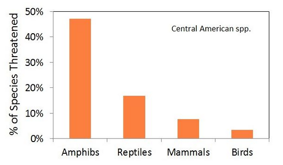Research from the Dimensions of Biodiversity project revealed, for the first time, that reptiles are the second most endangered group of land vertebrates in Central America and therefore merit more focused conservation efforts than they have received in the past.