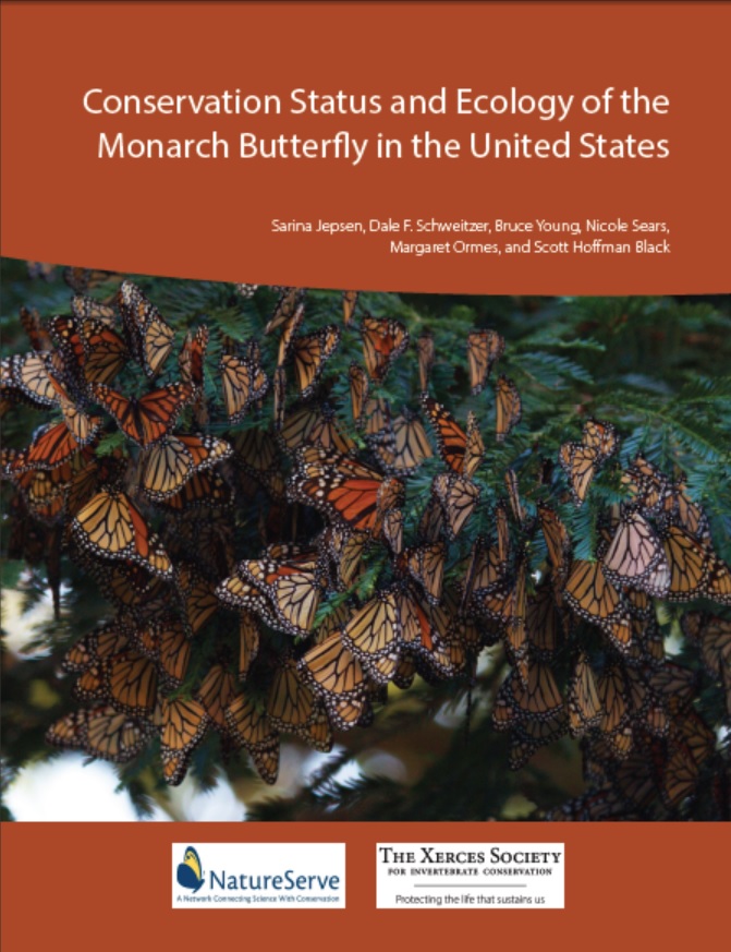 conservation-status-and-ecology-of-the-monarch-butterfly-in-the-united