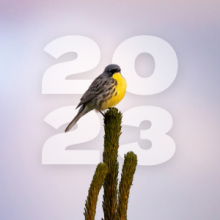 NatureServe's 2023 Annual Report